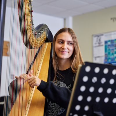 Harpist